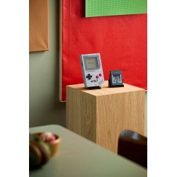 Game Boy™