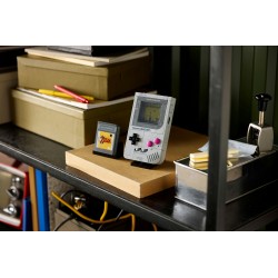 Game Boy™