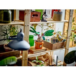 LEGO 76433 Harry Potter Mandragola