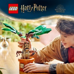 LEGO 76433 Harry Potter Mandragola