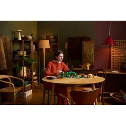 LEGO ICONS 10354 Il Signore degli Anelli: la Contea