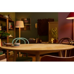 LEGO ICONS 10354 Il Signore degli Anelli: la Contea