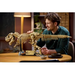 Fossili di dinosauro: Tirannosauro