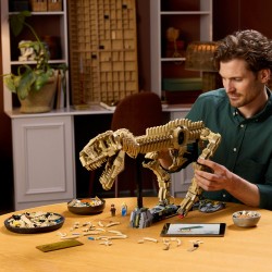 Fossili di dinosauro: Tirannosauro