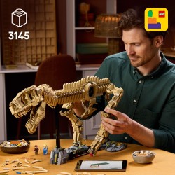 Fossili di dinosauro: Tirannosauro