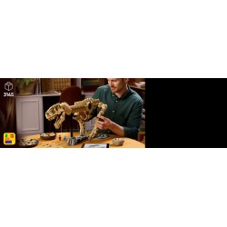 Fossili di dinosauro: Tirannosauro