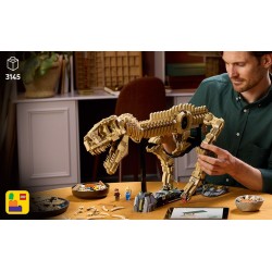 Fossili di dinosauro: Tirannosauro