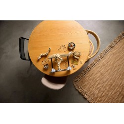 Fossili di dinosauro: Tirannosauro