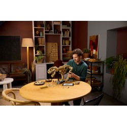 Fossili di dinosauro: Tirannosauro