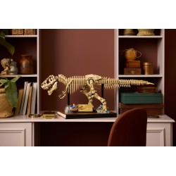 Fossili di dinosauro: Tirannosauro