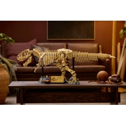 Fossili di dinosauro: Tirannosauro