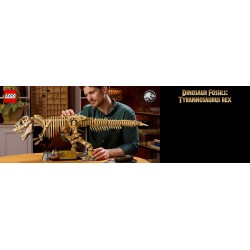 Fossili di dinosauro: Tirannosauro