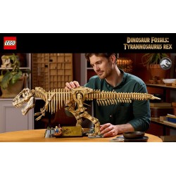 Fossili di dinosauro: Tirannosauro