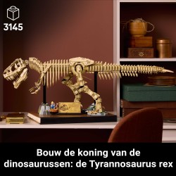 Fossili di dinosauro: Tirannosauro