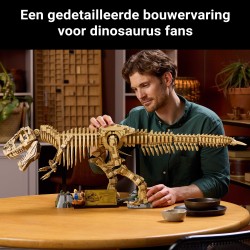 Fossili di dinosauro: Tirannosauro