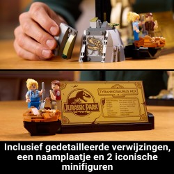 Fossili di dinosauro: Tirannosauro