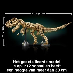 Fossili di dinosauro: Tirannosauro