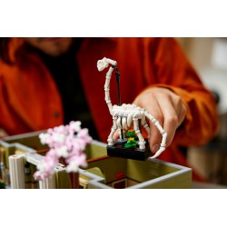 Le Muséum d’Histoire naturelle