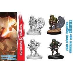 Wizkids - D&D Nolzur's Mum Male Halfling Rogue