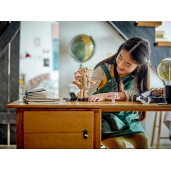 Dobby™, l’elfo domestico