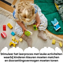 LEGO DUPLO 10477 Animali domestici creativi 3 in 1