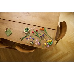 LEGO 11501 Botanicals Bouquet di tulipani