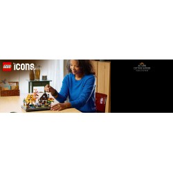 LEGO 11372 ICONS Giardino autunnale del cottage