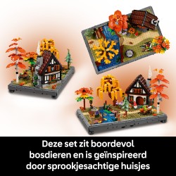 LEGO 11372 ICONS Giardino autunnale del cottage