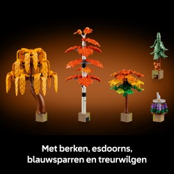 LEGO 11372 ICONS Giardino autunnale del cottage