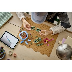 LEGO 11509 Botanicals Cactus in fiore