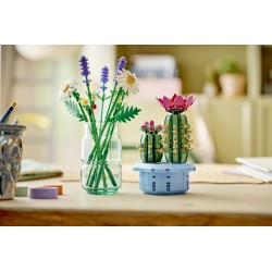LEGO 11509 Botanicals Cactus in fiore