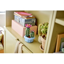 LEGO 11509 Botanicals Cactus in fiore