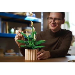 LEGO 11504 Botanicals Spatifillo