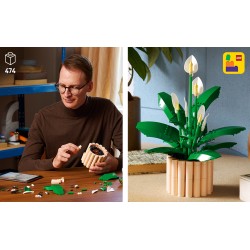 LEGO 11504 Botanicals Spatifillo