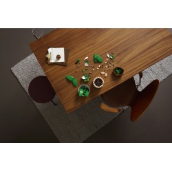 LEGO 11504 Botanicals Spatifillo