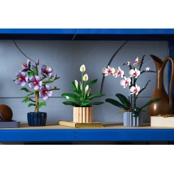 LEGO 11504 Botanicals Spatifillo