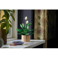 LEGO 11504 Botanicals Spatifillo