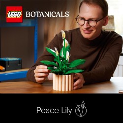 LEGO 11504 Botanicals Spatifillo