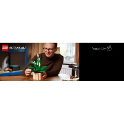 LEGO 11504 Botanicals Spatifillo