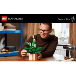 LEGO 11504 Botanicals Spatifillo
