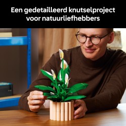 LEGO 11504 Botanicals Spatifillo