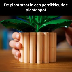 LEGO 11504 Botanicals Spatifillo