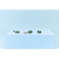 LEGO 31377 Creator Tartaruga con fiore di ninfea