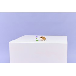 LEGO 31376 Creator Simpatico criceto con fiore