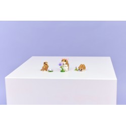 LEGO 31376 Creator Simpatico criceto con fiore