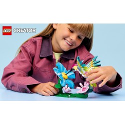 LEGO 31384 Creator Animali selvatici: colibrì variopinto