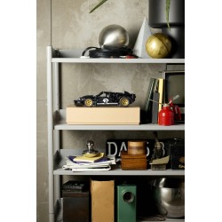 LEGO 42223 Technic Auto da corsa Ford GT40 MKII 1966