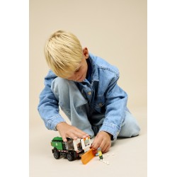 LEGO 60490 City Spazzaneve