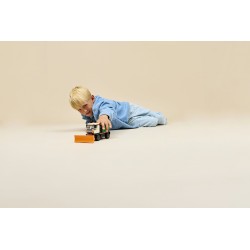 LEGO 60490 City Spazzaneve