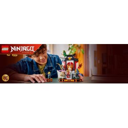LEGO 71866 NINJAGO Display personaggi Ninja – 15° anniversario